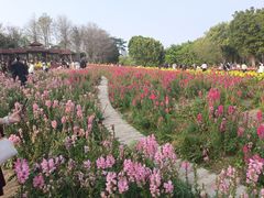 -厦门园林博览苑