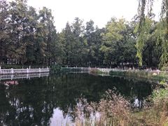 -绵阳人民公园(涪城区)