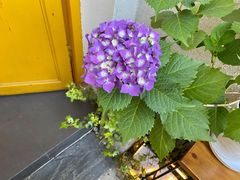 -About Bistro關於·泰式家庭料理