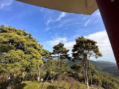 -马峦山郊野公园