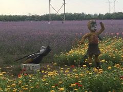 -兰陵国家农业公园