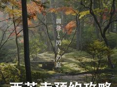-西芳寺(苔寺)