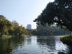 -晓港公园