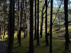 -玉苍山国家森林公园