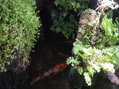 -丽江庭院之爱在路上(西单店)