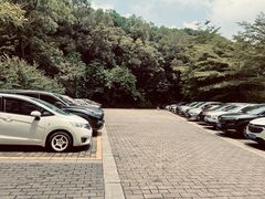 -广州市帽峰山景区