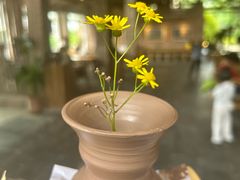 -远山有窑
