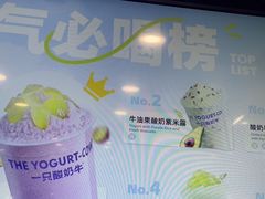 -一只酸奶牛(洪崖洞11楼店)