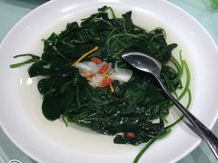 -上海莎海国际酒店