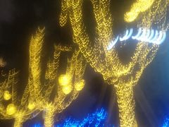 -锦江宾馆-花园餐厅