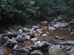 -鼎湖山风景区