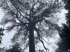 -常德桃花源景区
