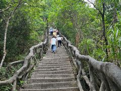 -梧桐山风景名胜区