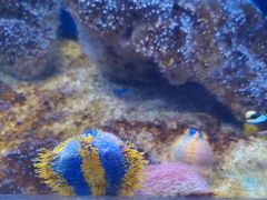 -常州海昌海洋探索馆