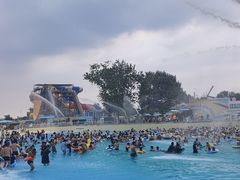 -秦皇岛乐岛海洋王国