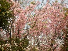 -苏州太湖国际会议中心