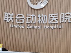 -联合动物医院(光谷诊疗中心)
