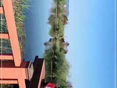 -芒洲湿地公园
