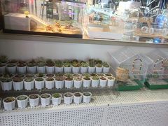 -反斗乐园(中航城君尚购物中心)