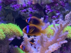 -南昌海洋公园