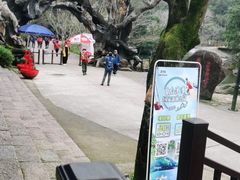 -龙湾潭国家森林公园