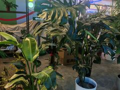 -百荣世贸商城
