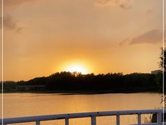 -大兴滨河森林公园