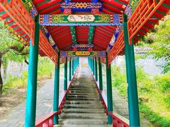 -高尔山公园