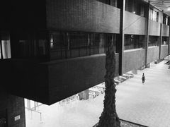 -澳门环岛游湾仔码头