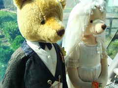 -济州岛泰迪熊博物馆