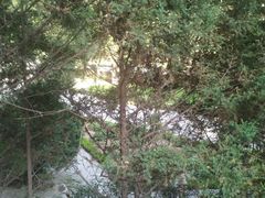 -延安杨家岭革命旧址