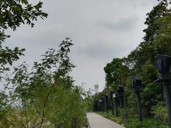 -上海吴淞炮台湾国家湿地公园