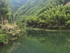 -四明山国家森林公园