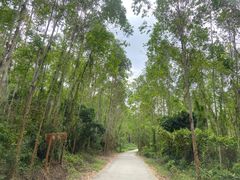 -汕头莲花山度假村温泉