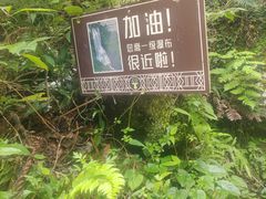 -鹿院坪生态旅游景区