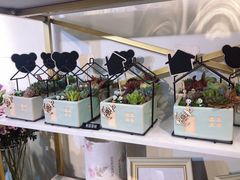 -花未央花店·WEYOUNG
