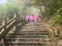 -普陀山风景名胜区-法雨禅寺