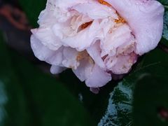 -行人小筑·茶馆(岑村火炉山分店)