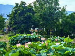 -国家植物园南园