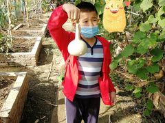 -马陆小张葡萄园农家乐