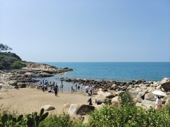 -广东惠东海龟国家级自然保护区
