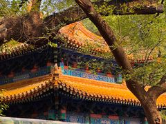 -北京国子监胡同