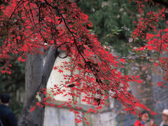 -虎丘山风景名胜区