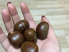 -陈记栗子(长宁路店)