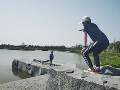 -春花秋色城市公园