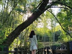 -宝岩生态观光园