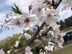 -同济大学(嘉定校区)