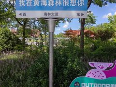 -黄海国家森林公园