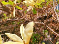 -天津盘山风景名胜区