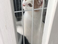 -白衬衫照相馆(五彩店)